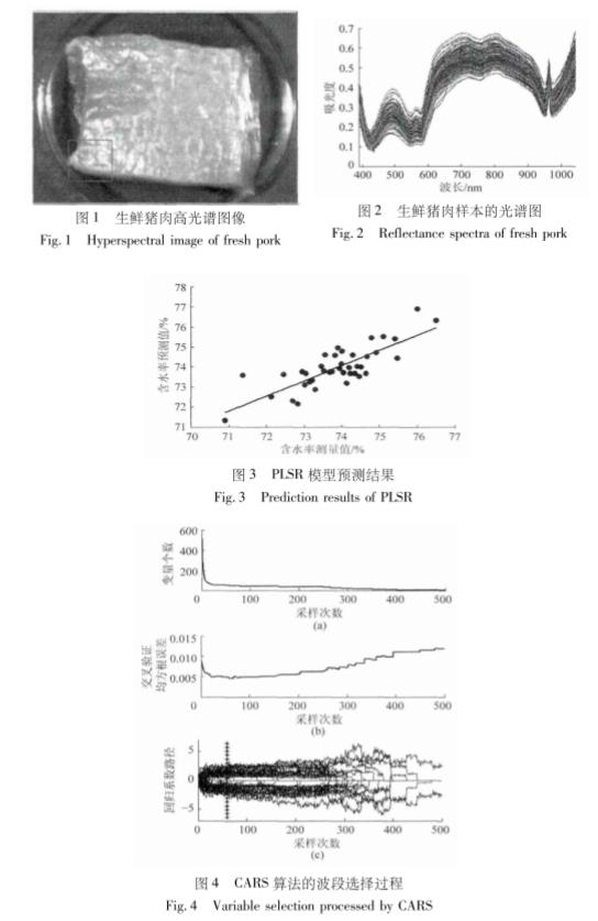 xianrou-2.jpg