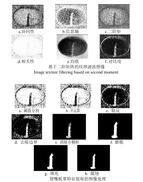 板栗-4.png