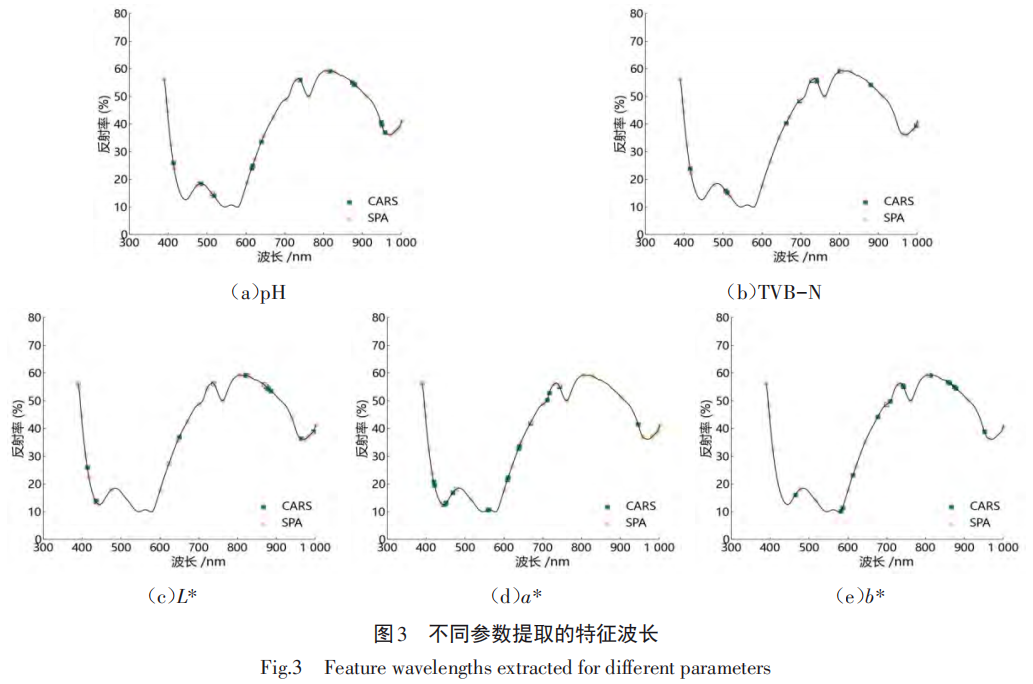 beef freshness detection beef freshness detection