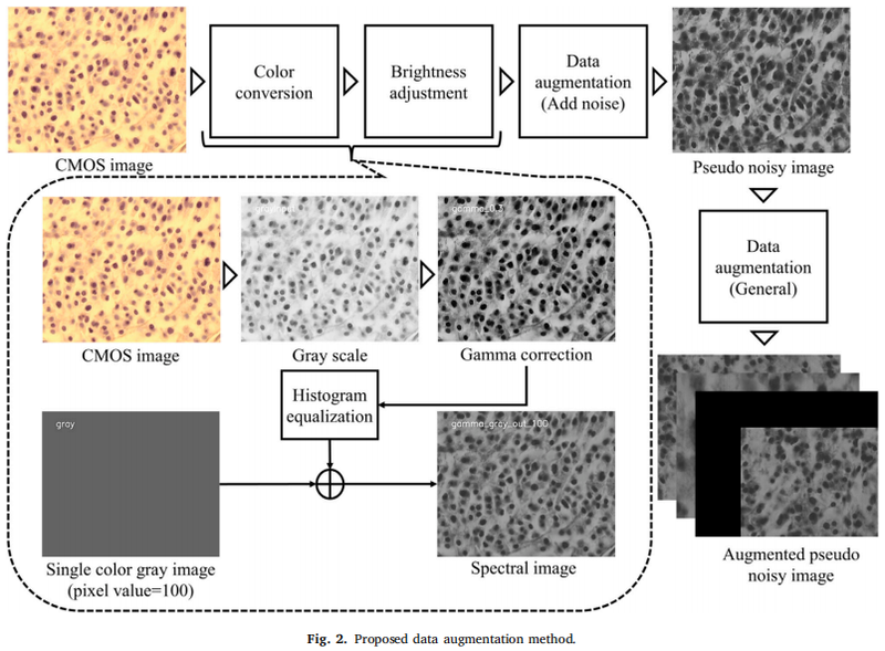 Hyperspectral Pathology Image 2.png