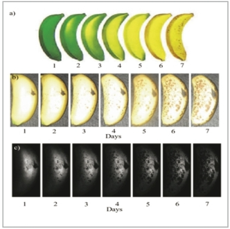 Fruit sorting by hyperspectral technology.png