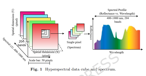 Hyperspectral data cube and spectrum.png