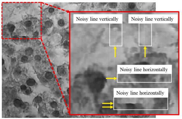 Hyperspectral Pathology Image 3.png