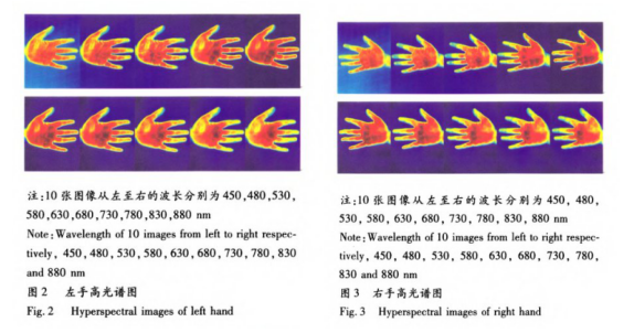 hand spectral.png