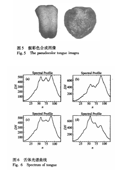 舌診4.png