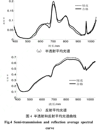 馬鈴薯4.png