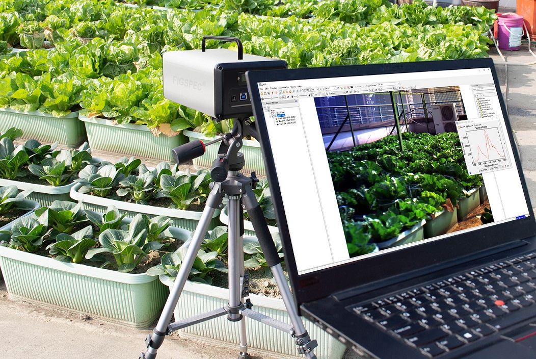 hyperspectral images in Agricultural.jpg