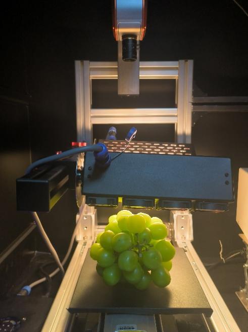 hyperspectral images in grape.jpg