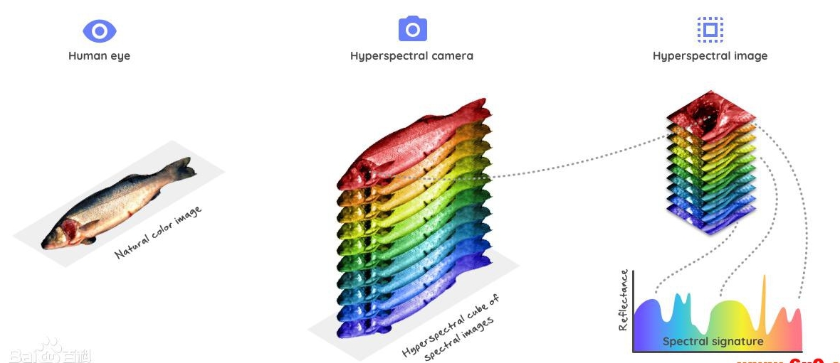 hyperspectral_imaging.png