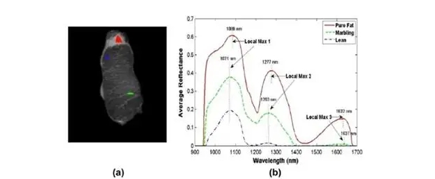 hyperspectral_imaging_result.png