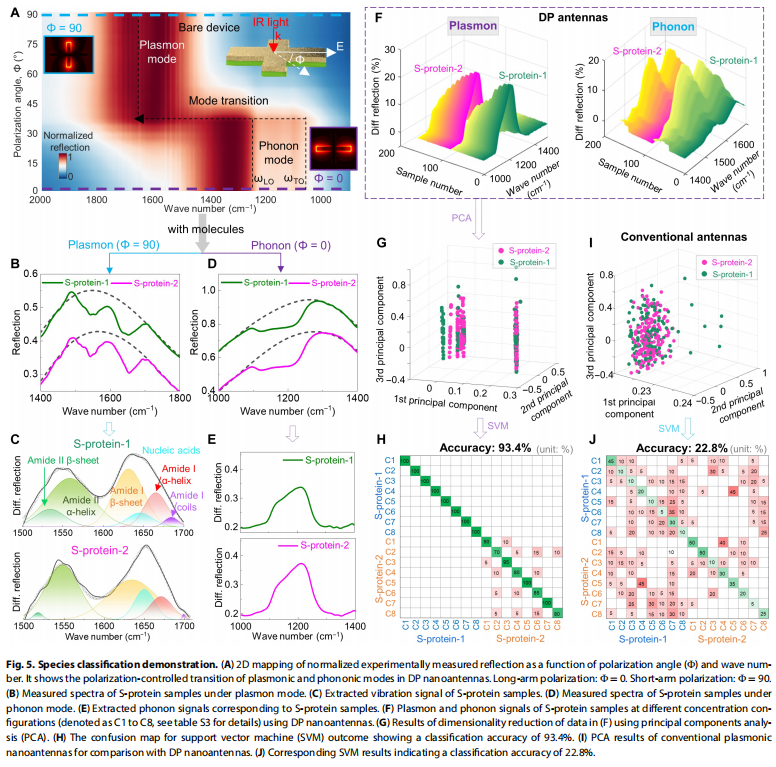 Hyperspectral Imaging for Advanced Viral Protein Detection