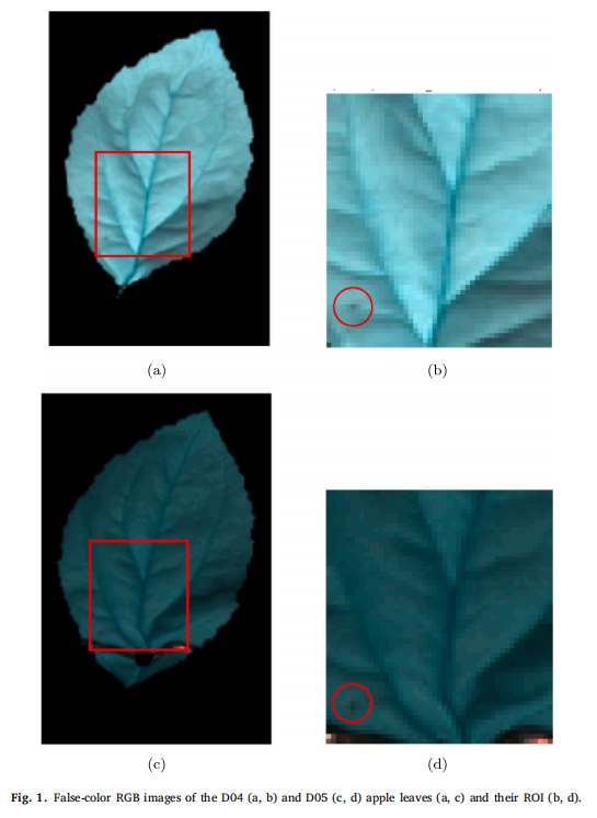 Hyperspectral detection of leaf diseases 1.png