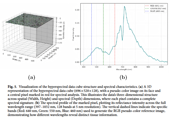 hyperspectral pathological images.png