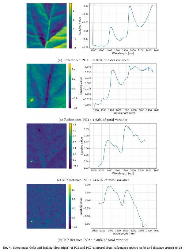 Hyperspectral detection of leaf diseases 4.png