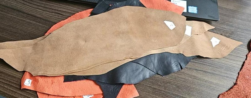 The Application of Hyperspectral Technology in Leather Defects.png