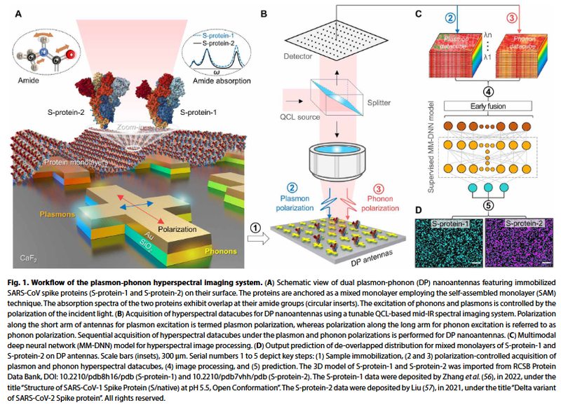 Hyperspectral Imaging for Advanced Viral Protein Detection