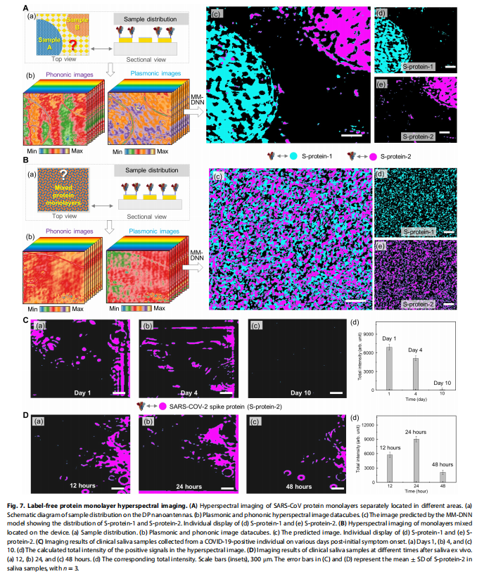 Hyperspectral Imaging for Advanced Viral Protein Detection