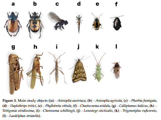 High-spectrum imaging for insect identification applications.png