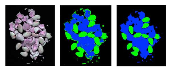 RGB, multispectral (28 bands), and hyperspectral (224 bands) images of almonds and almond shells (green is almonds, blue is almond shells).png
