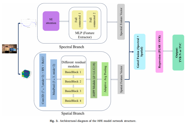 Hybrid-FeatureExtractor.png