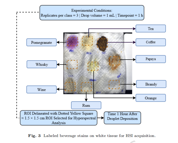 Labeled beverage stains on white tissue for HSI acquisition.png